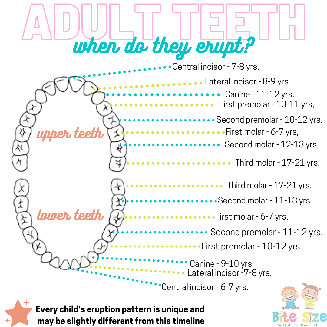 New Year, New Teeth! - Teething 101 - Bite Size Pediatric Dentistry