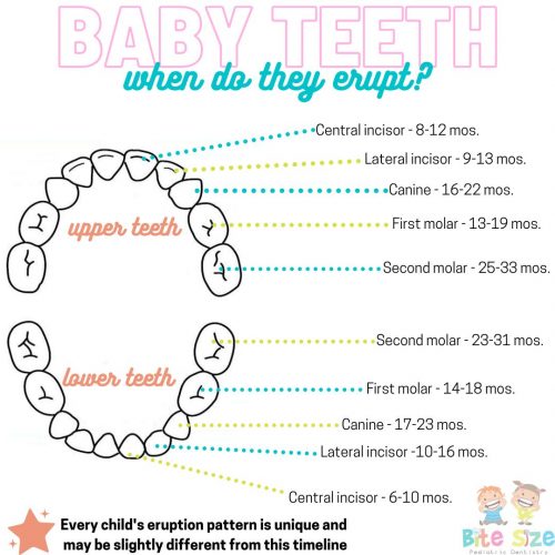 Infant Oral Health Care - Bite Size Pediatric Dentistry